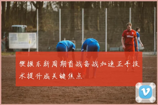 樊振东新周期首战备战加速正手技术提升成关键焦点