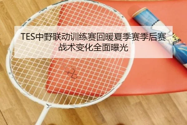 TES中野联动训练赛回暖夏季赛季后赛战术变化全面曝光